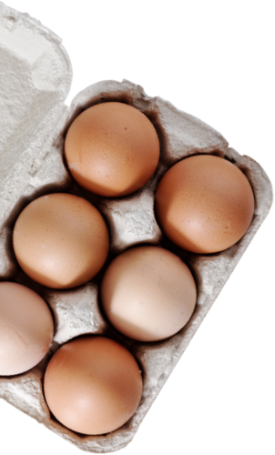 Six brown eggs in a grey egg carton