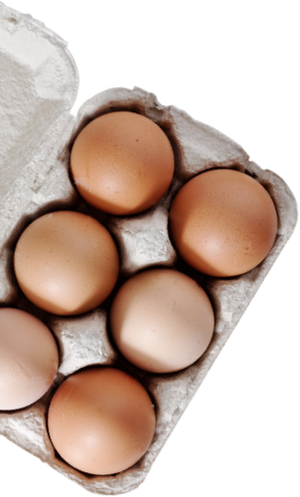 Six brown eggs in a grey egg carton